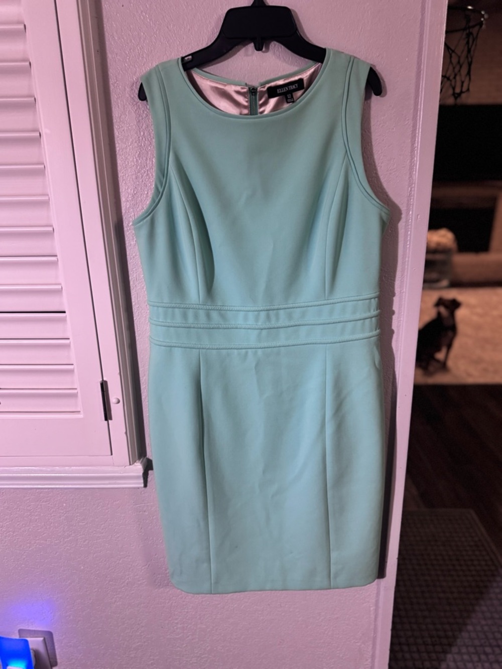 Ellen Tracy Seafoam Sleeveless Sheath Dress
